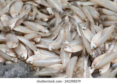 Anchovies - Small (Nethilli Meen) - 2lbs Pack - Cleaned